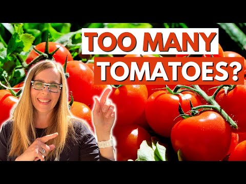 STOP Canning Tomatoes!  Freezing Tomatoes Is So Much Faster!