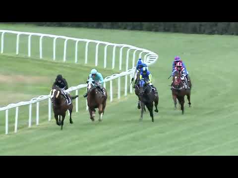 2023.10.08. 6. Futam - KÁLLAI PÁL EMLÉKVERSENY - BUDAPESTI DÍJ (HUN Gd-3)