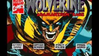 Wolverine Adamantium Rage SNES Crystal Dragon