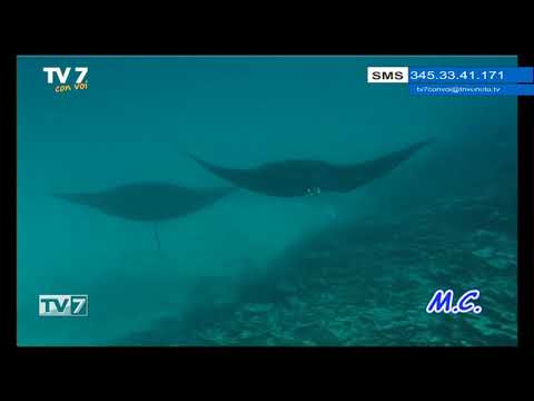 Tv7 con Voi del 17/7/2018 - Andiamo in Polinesia (2 di 3)