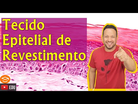 Epithelial Covering Tissue - Concept and Classification - Types of Covering