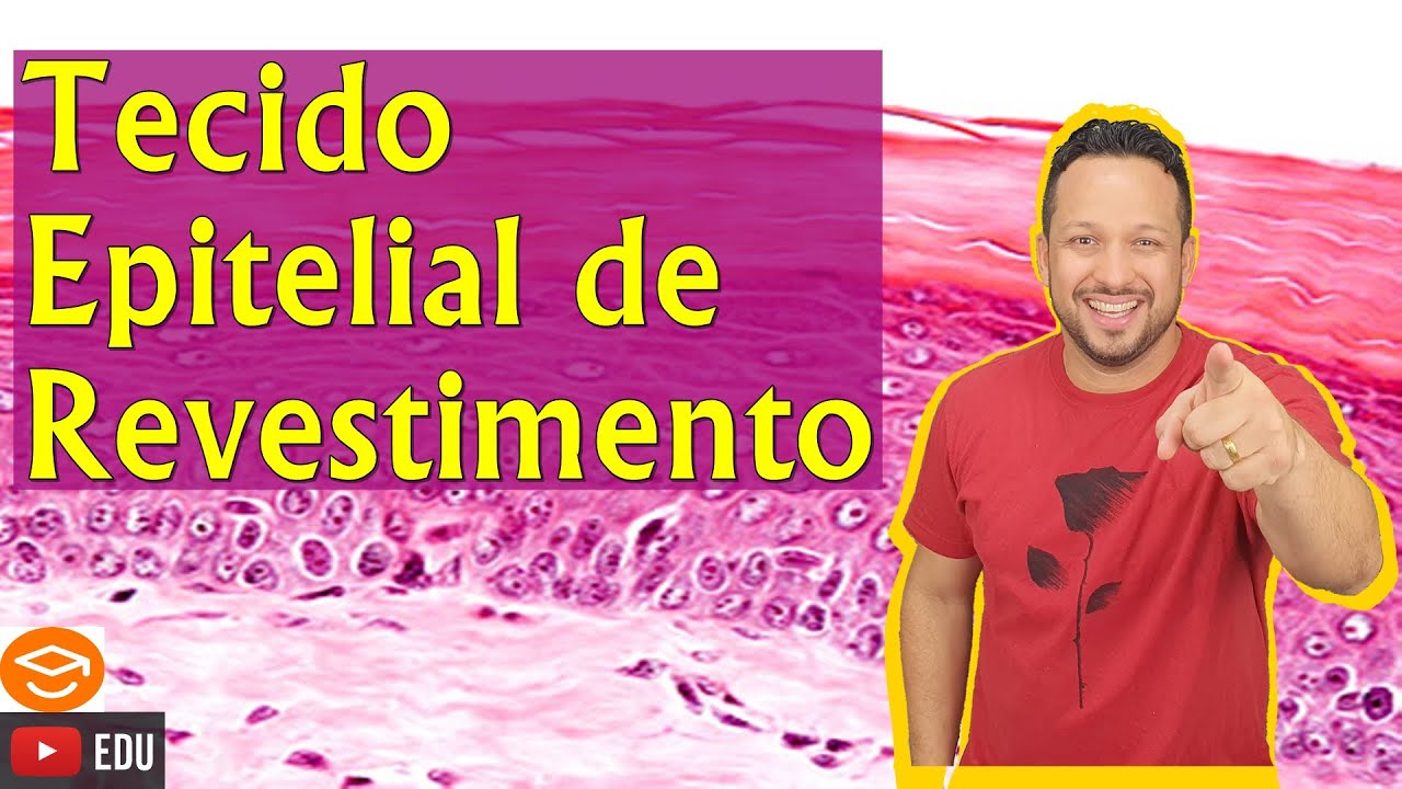 Tecido Epitelial de Revestimento - Conceito e Classificação - Tipos de Revestimento