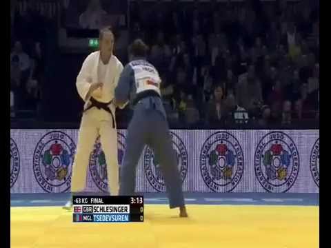 Ippon by Alice Schlesinger