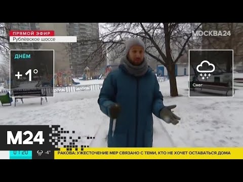 'Утро': снег ожидается в столице днем 31 марта - Москва 24