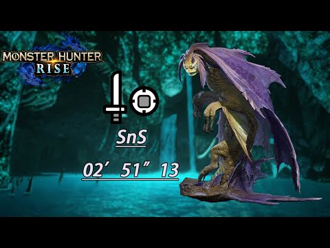 Sliding/Drill Slash Combo is Strong! |MH:Rise| Somnacanth Solo Shield and Sword 02'51"13  No Pokémon