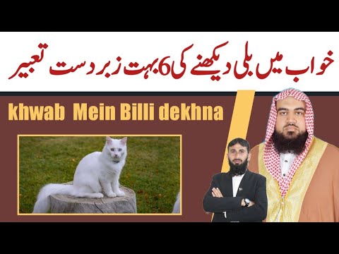 Billi dekhne ki 6 bahut Jabardast Tabeer | khwab ki Tabeer | qari m khubaib | m Awais | DWI Official