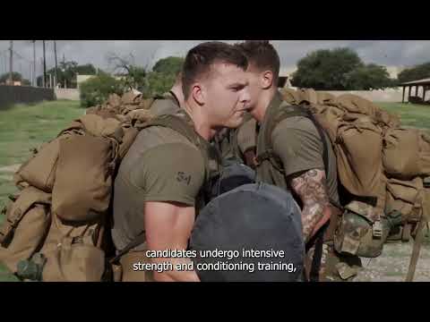 Special Warfare Training Wing