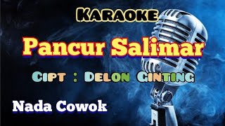 Download lagu PANCUR SALIMAR | KARAOKE LAGU KARO | NADA COWOK mp3