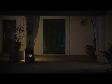 THE PERFECT WOMAN - TRAILER