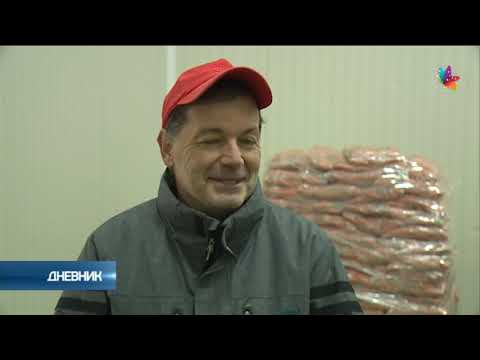 Begečka šargarepa primer uspešnog plasmana