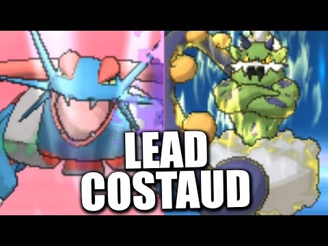 SOUS LES VENTS CONTRAIRES - VGC 2019 - POKÉMON ULTRA-SOLEIL/LUNE