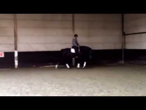 5 year old by Diarado - Negro