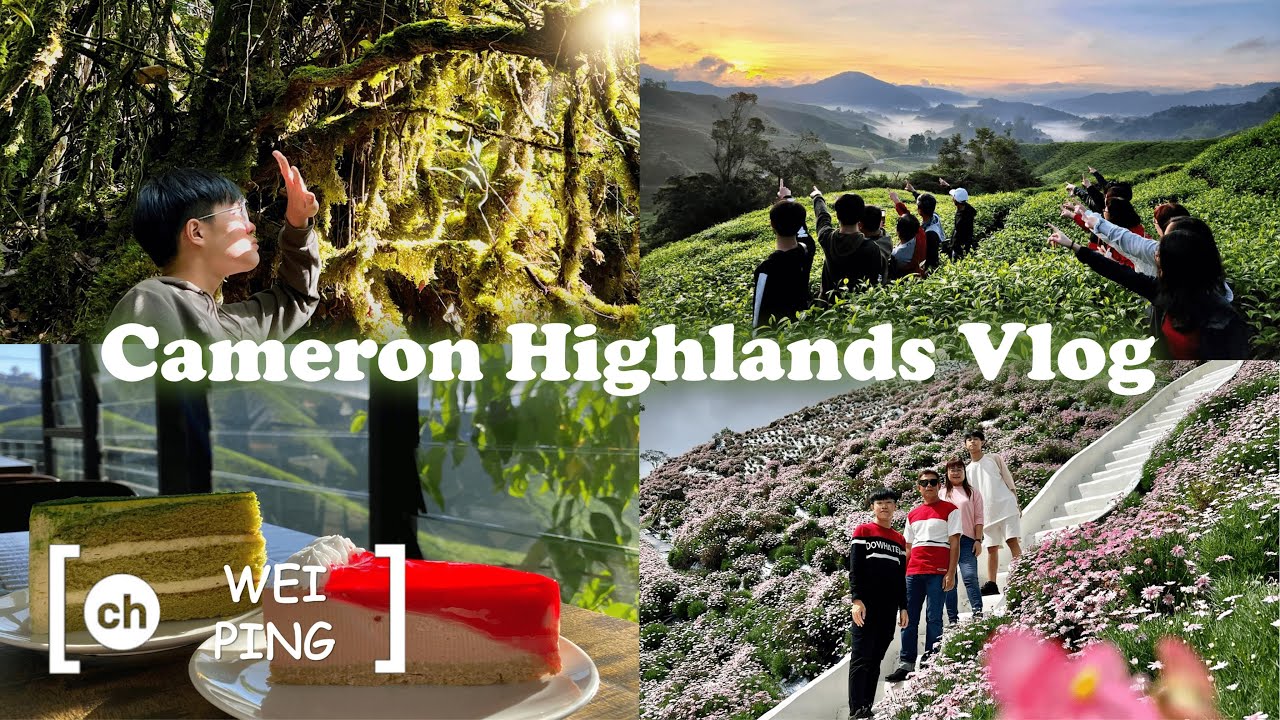 [VLOG] Malaysia Tourism - Cameron Highlands 3 Days 2 Nights Trip!