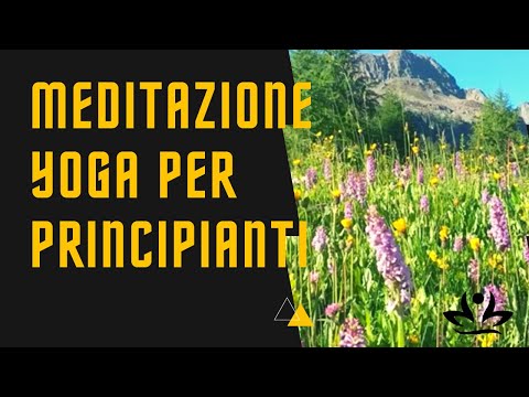 Appendicite e mal di schiena Gonartrosi del trattamento laser ginocchio