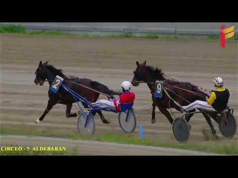 IV corsa del 19 novembre 2022 - 5 Anni ed oltre - Metri 1600 - Aspiranti allievi