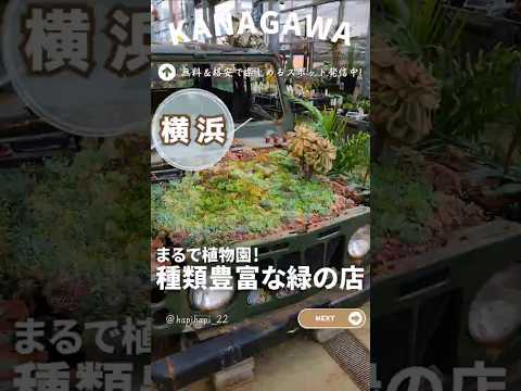 園芸 シュミーユの芳香植物園カミフォリア (49)