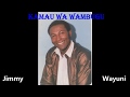 Kamau Wa Wambugu Gaka Ni Gaitu Reke Wone Uguo Ndiri Na Ihenya By Jimmy Wayuni