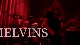 Melvins - Euthanasia