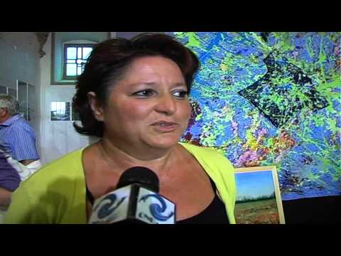 ONDA TG 05.08.2014 - MOSTRA VIVI A COLORI ALESSIO FERRARO