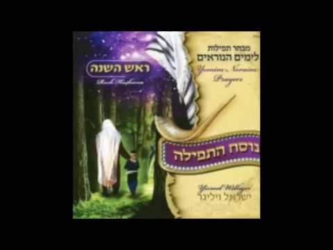 ישראל ויליגר - ראש השנה - כבקרת  israel williger - rosh hashana  - kebakarat