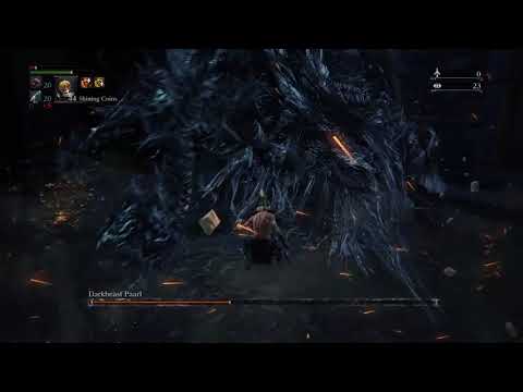 Weak Knees Paarl: bl4, NG+6, no consumables, no damage