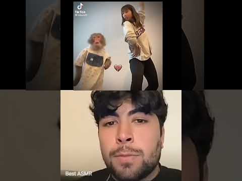 Mr bombastic bomba fantastic