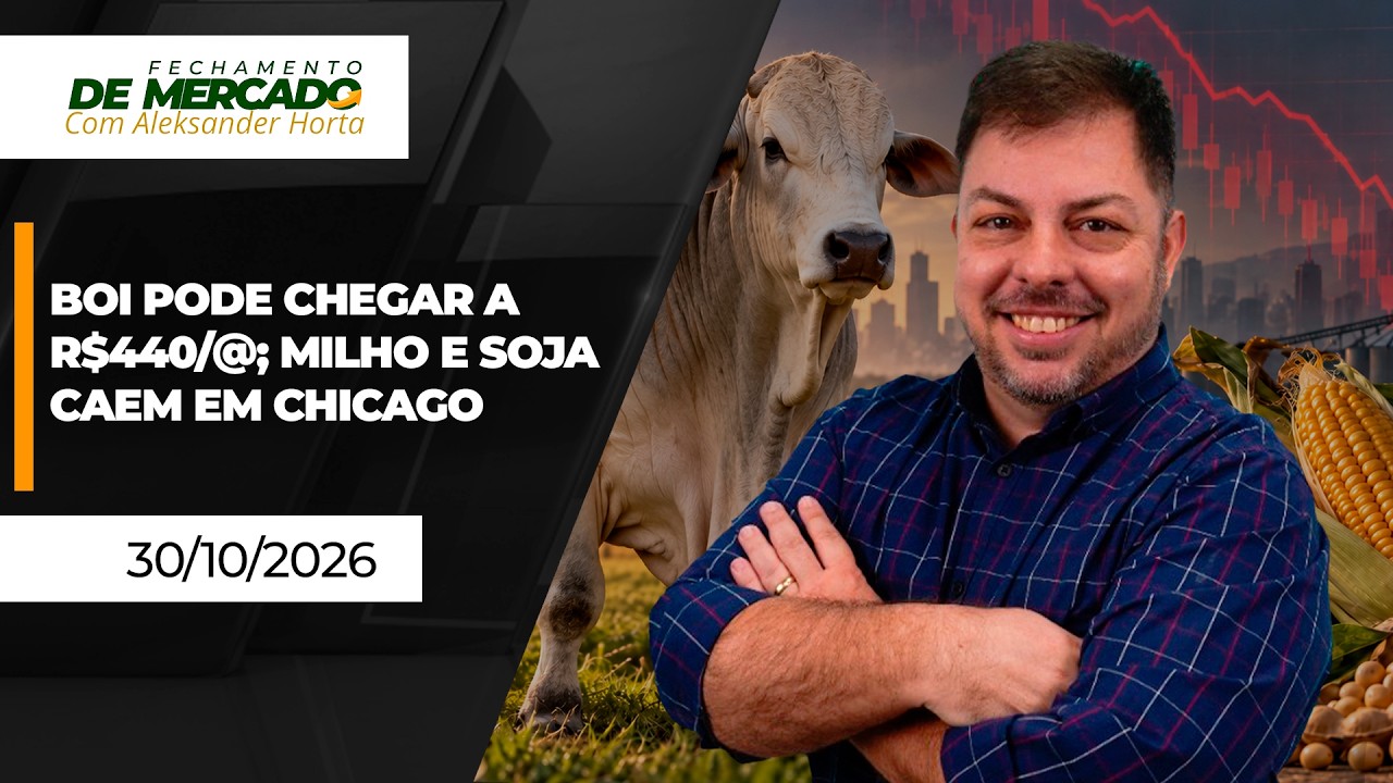 FECHAMENTO DE MERCADO - Projeção de boi a R$440/@ e semana de perdas para milho e soja em Chicago