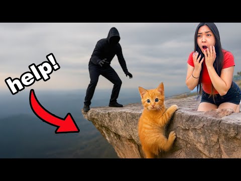 Our Stalker Pushed Our Kitten Off A Cliff! (Can We Save It?)