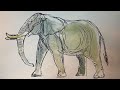 How to Draw An Elephant l #DrawWithDisneyAnimation