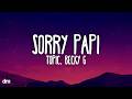 Topic, Becky G - Sorry Papi (Lyrics)