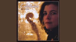 Not Another Boring Fucking Love Song