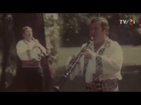 Dumitru Fărcaş (Arhiva TVR)