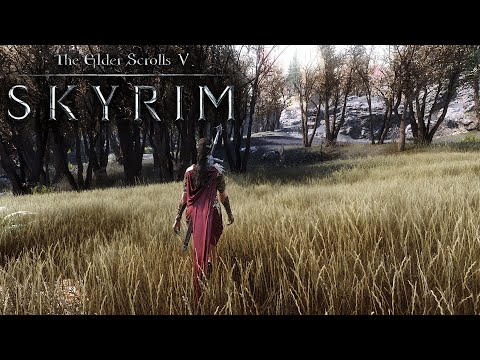 Skyrim LE  - Ultra Modded Next Gen 2020 Graphics | Pushing the Game Engine to It's Limit