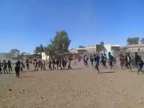 ኣገራሚ ሱሙሩን ታሓንበለ ኣብ ዓዲ ሕዝባይ፡ ወረዳ ጉሑጫዓ፡ በቶም ደቂ ዓዲ!