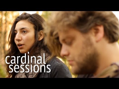 Intergalactic Lovers - Delay - CARDINAL SESSIONS (Traumzeit Festival Special)