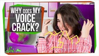 Why Does My Voice Crack?