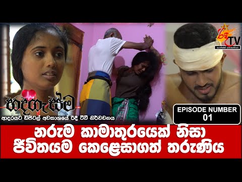 Hadagasma |හදගැස්ම| Episode Number 01 #crime #murdermystery #crime_news