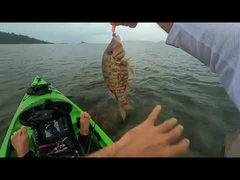 Solo Hootchie camping on mini island   Kayaking   Beach Shark fishing $$$$$ 9