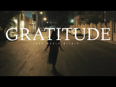 The Power of Gratitude - Inspirational Video