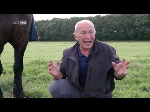 Angriff aus dem Hinterhalt   Von der Keule zur Rakete – Die Geschichte der Gewalt