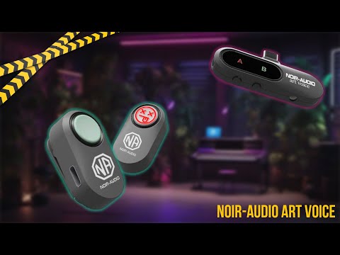 NOIR-audio ART VOICE Type-C обзор который не получился