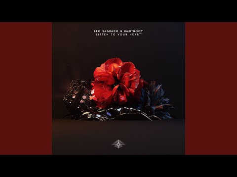 Listen to Your Heart