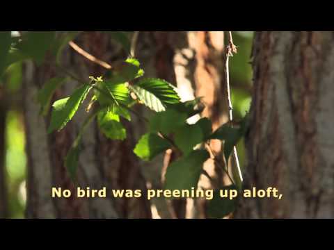 An excerpt of a Thomas Hood  poem by @brucemol