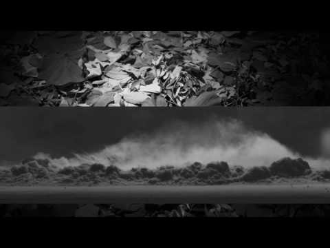 Antimundo. Video-instalación (2017)