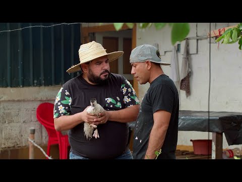 Le vendo un pato - Maratón de Comedia