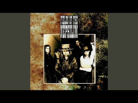 Dawnrazor (live Roskilde 2000)