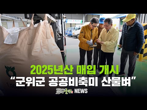 [군위뉴스] 2025년산 매입 개시 ... &quot;군위군 공공비축미 산물벼&quot;