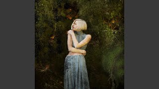 Cover art for Running with the wolves