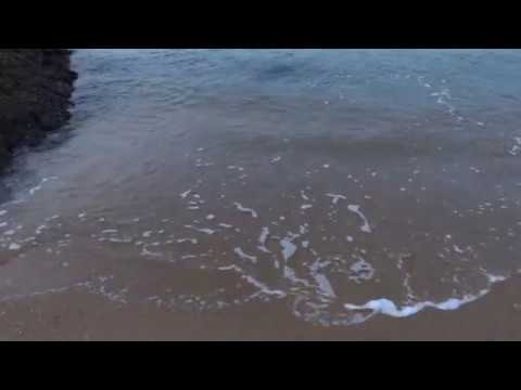 East coast park Singapore