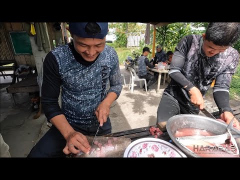 EP849-P2 - Bangus Harvest | Occ. Mindoro